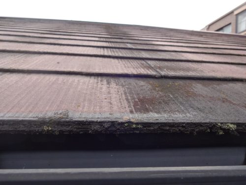 春日井市の住宅の屋根に苔が発生している様子