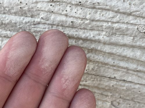 瀬戸市の住宅でが外壁にチョーキングが発生している状態