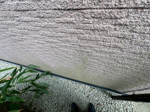 瀬戸市　外壁　コケの付着