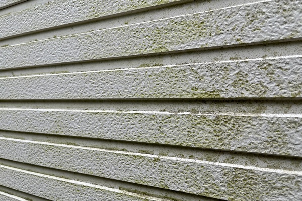 そもそも外壁にコケが生える原因とは?