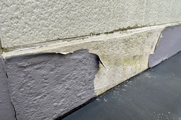 外壁のコケ取りをする際の注意点