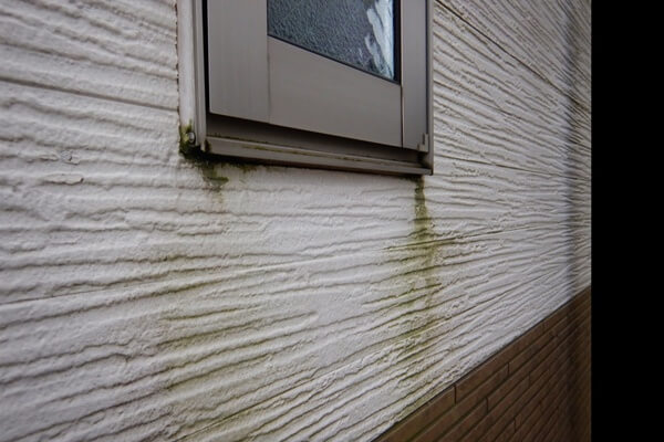 洗浄不足のまま塗装すると起きる施工不良のリスク