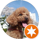 もりくみ profile picture