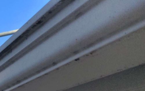 横樋・鼻隠し施工前