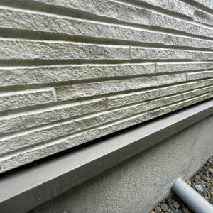 外壁　コケ発生