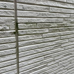 外壁　コケ発生