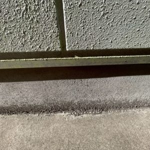 水切り　コケ付着