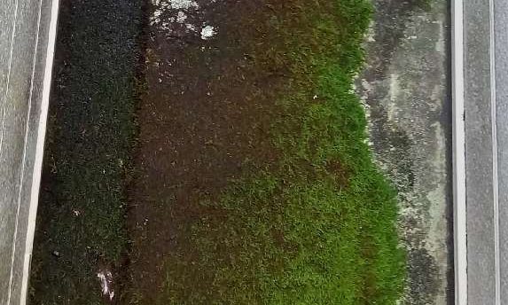 ベランダ防水 施工前