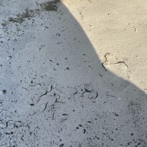 陸屋根　防水層劣化状況