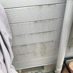 K様邸外壁コケ