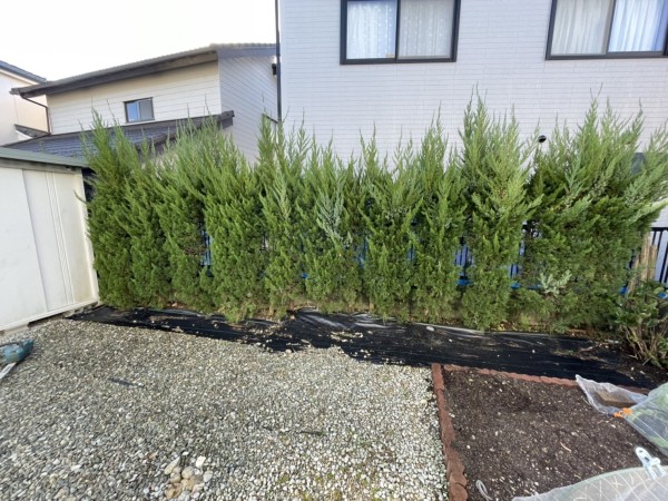 【尾張旭市】樹木伐採しました！サムネイル