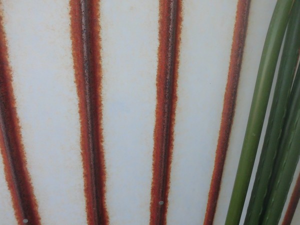 【瀬戸市】トタン壁塗装工事　A様邸サムネイル