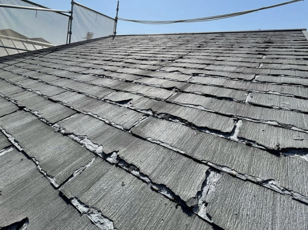 パミールについてサムネイル