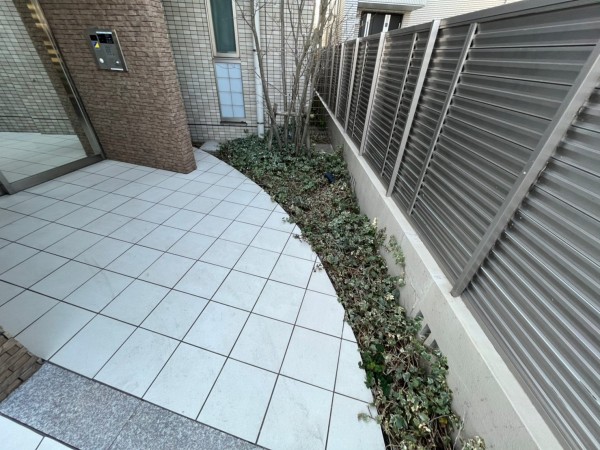 ヘデラ（アイビー）撤去しました！サムネイル