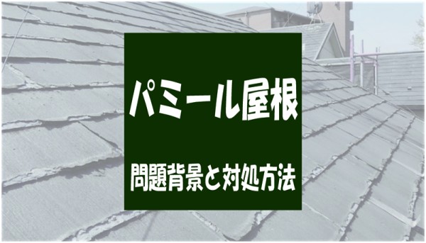 最小限の負担で解決したい【パミール屋根】のリフォーム方法についてサムネイル