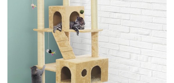 リフォームで作る快適なキャットウォークサムネイル