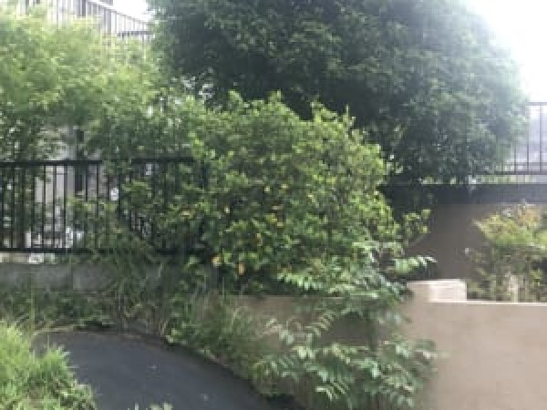 フェンス取付工事サムネイル