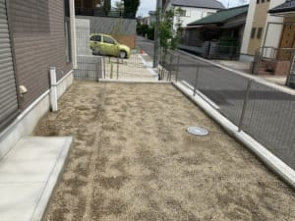 人口芝サムネイル