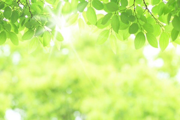 外壁塗装はどの季節に行うのが良い？塗り替えのタイミングについてもご紹介します！サムネイル