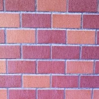 タイル中塗り施工後