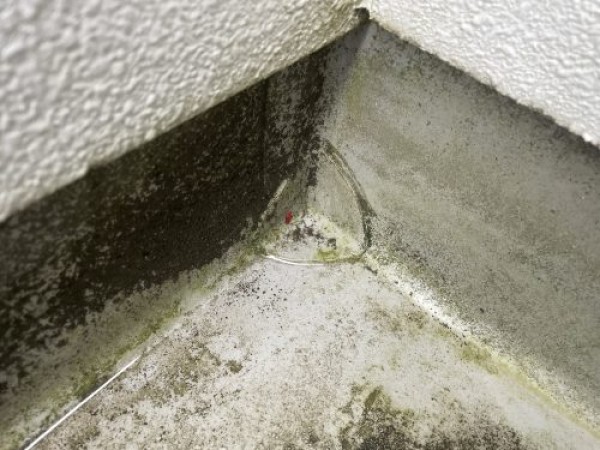 【瀬戸市】ベランダの床の防水メンテナスを行いました。サムネイル