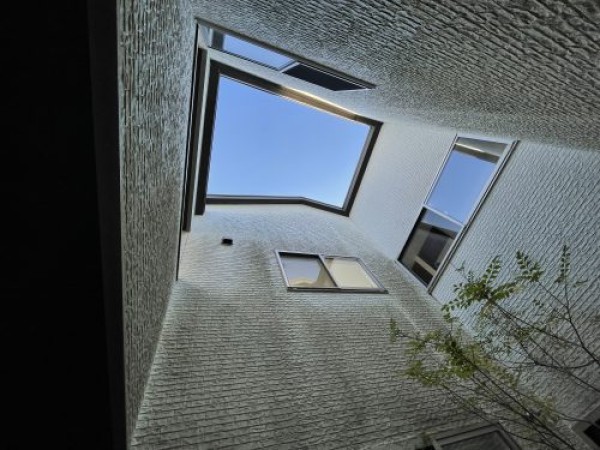 外壁が緑色に！？コケが生える理由や放置するリスクについて解説！サムネイル