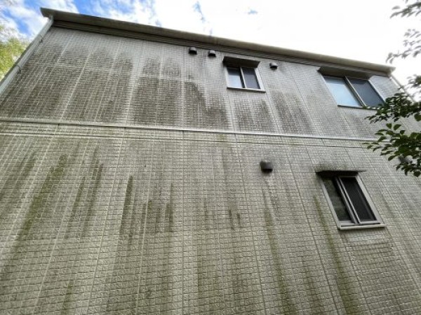 【瀬戸市】コケがついてしまっているお宅で建物調査サムネイル
