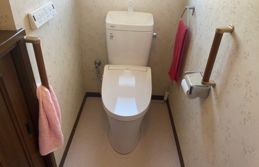 toiletreform-after-lixilamezez