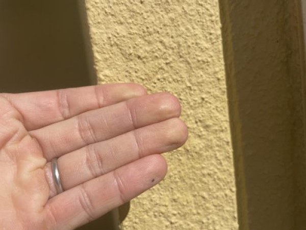 【尾張旭市】２回目の塗り替え工事をご検討のお宅で建物調査サムネイル