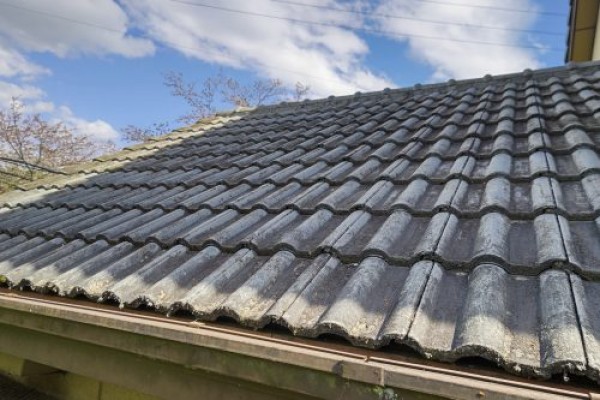 【日進市】モニエル瓦の調査サムネイル