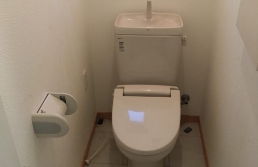 toilet-change-before