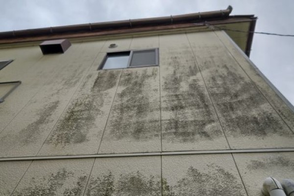 【瀬戸市】現場近くにお住まいの方のお宅で建物調査を行わせていただきましたサムネイル