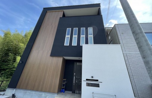 outerwallpainting_nanocornpojit/pureflexclear