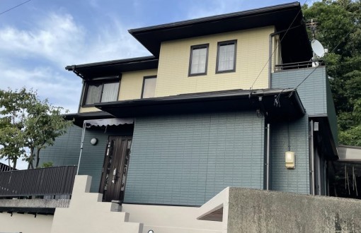 outerwallpainting_skpremiuminorganic