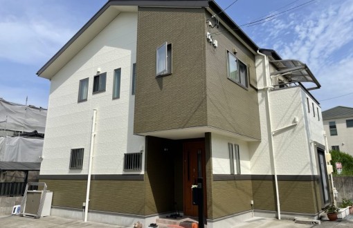 outerwallpainting_rhpureflexinorganic