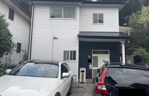 outerwallpainting_skpremiumsilicon