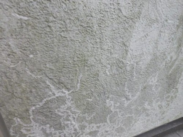 【豊田市】ホワイト系の色の外壁のお宅でチョーキング現象がだいぶ見られました。サムネイル