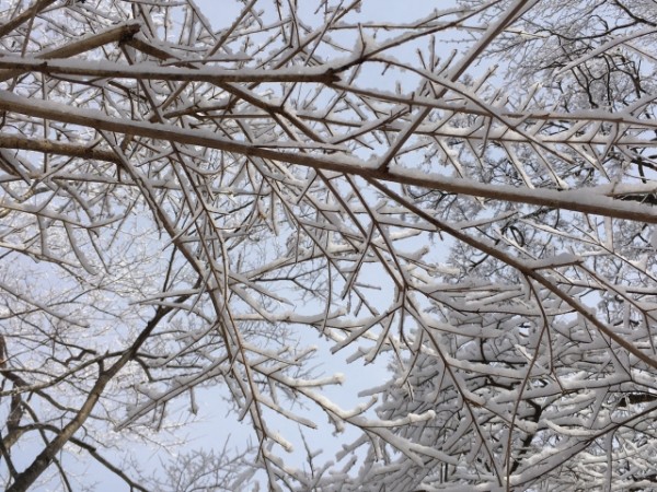 大丈夫？寒い冬の時期の外壁塗装！注意点など解説サムネイル