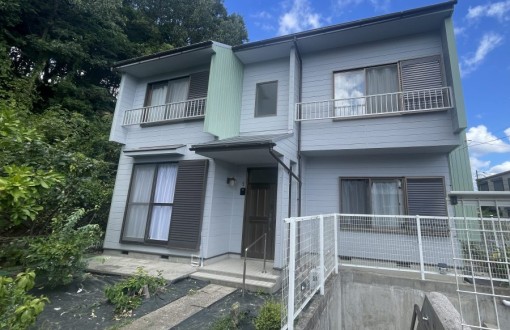 outerwallpainting_superrazikarusilicon