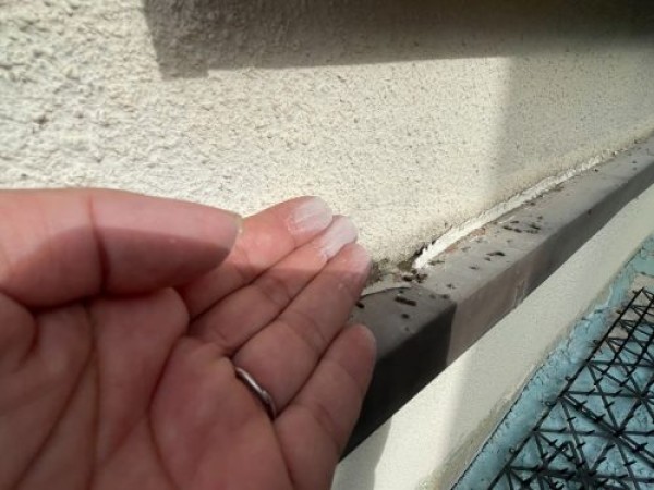 築４０年以上経過されているモルタルとトタン外壁のお宅で建物調査を行わせて頂きましたサムネイル