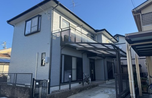 outerwallpainting_skpremiuminorganic