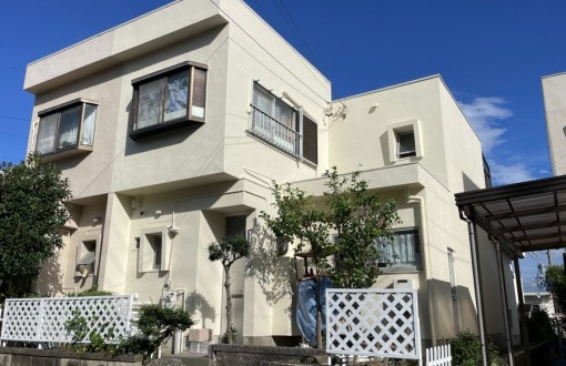 outerwallpainting_skpremiuminorganic