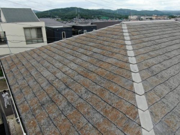 【瀬戸市】外壁塗装の現地調査：築12年のサイディング外壁とスレート屋根のメンテナンス方法サムネイル