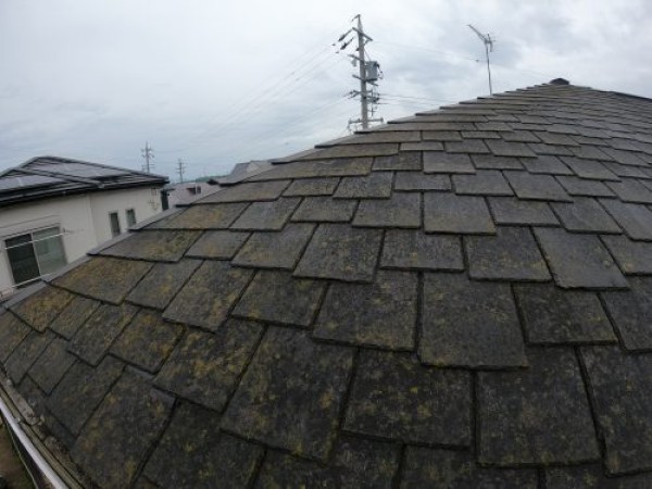 【豊田市】外壁塗装調査レポート　築30年住宅の屋根と外壁メンテナンス提案サムネイル