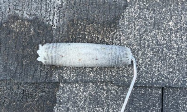 【瀬戸市】築17年の家を守る！外壁塗装と屋根塗装に最適な無機塗料の選び方サムネイル