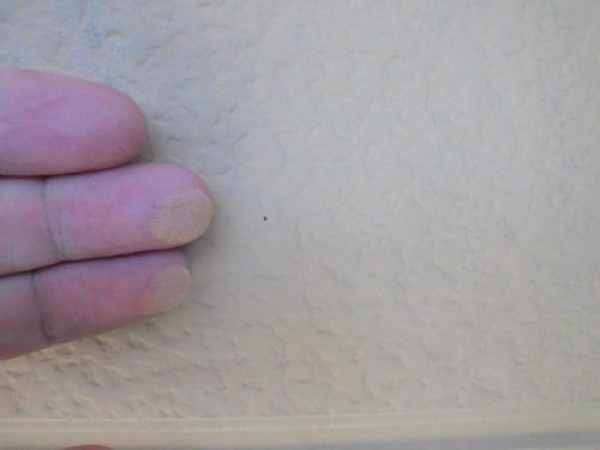 【豊田市】築28年のサイディング外壁塗装事例,劣化症状とメンテナンス方法サムネイル