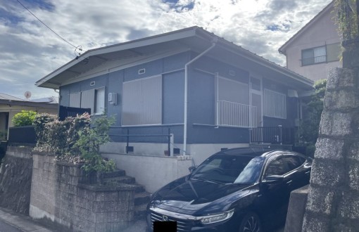 outerwallpainting_skpremiumsilicon