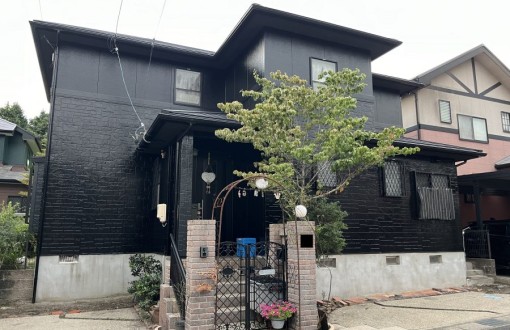 outerwallpainting_rhpureflexinorganic