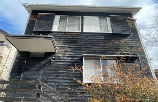 008f4565986a02e3d84b8b18e3a951a437-e1733029686147