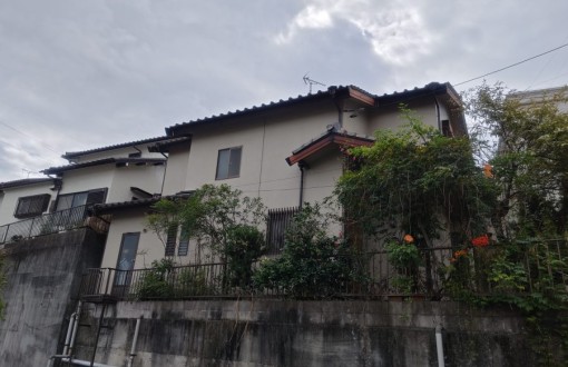 00ea103e86dcee71e316301606754c2bb7-e1733453764576